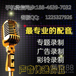 打造高效垃圾处理器广告 从策略到制作的完整指南